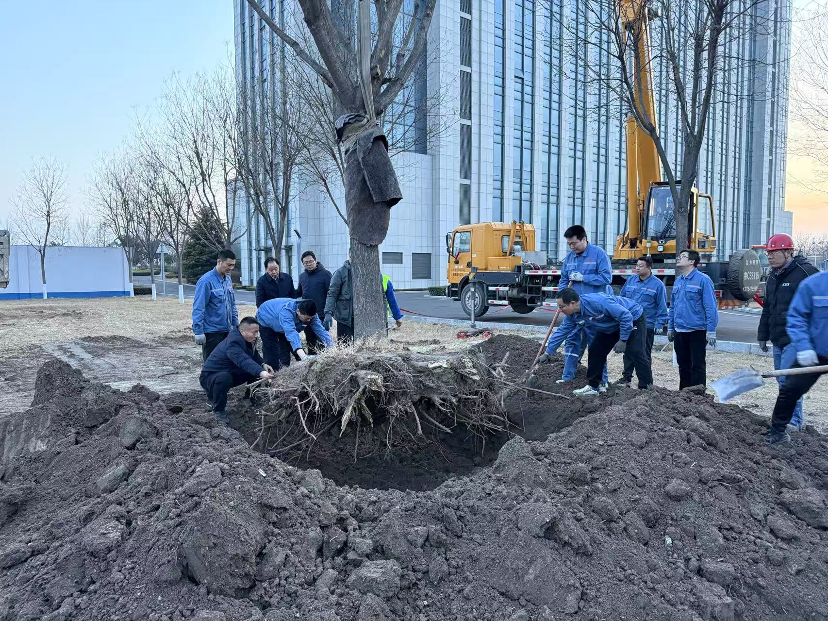 2025年3月1日J9集团干部职工合力栽下新春第一树